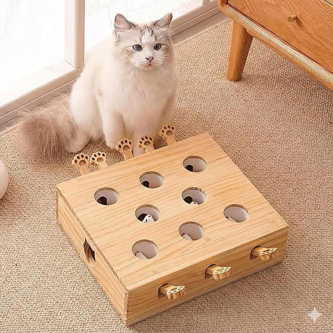 Permangallop Interaktives Katzenspielzeug, Holz, Spielzeug, Maulwurf Maus, Puzzle Box mit süssen Car