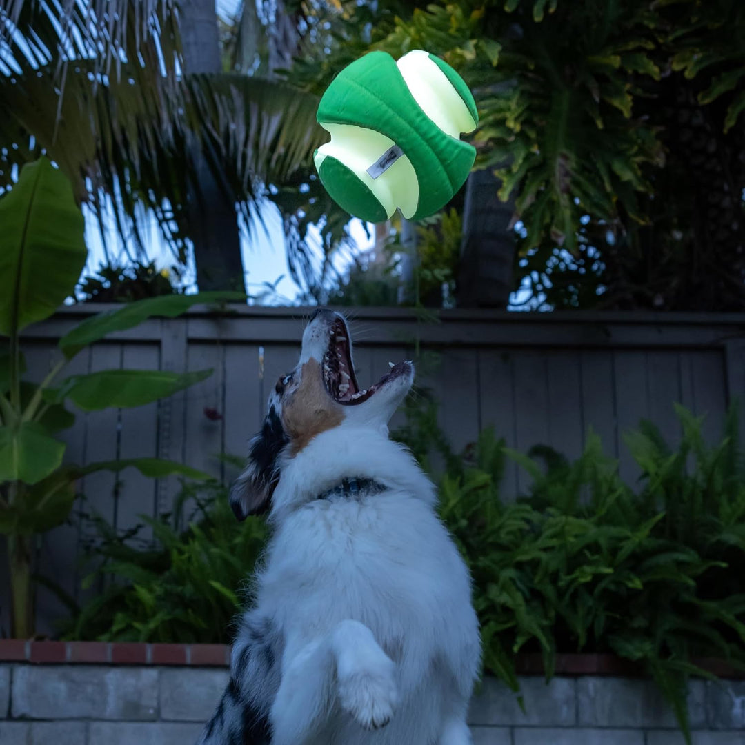 Chuckit! CH32300 Kick Fetch Max Glow Klein Grün Small, Grün Small