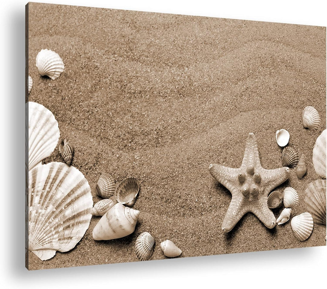 deyoli Gestrandete Muscheln zwischen feinem Sandstrand Format: 80x60 als Leinwand, Effekt: Sepia, Mo