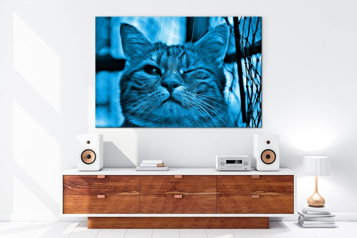 deyoli zwinkernde Katze Format 80x60 Effekt: Monocrome Blau als Leinwandbild, Motiv fertig gerahmt a