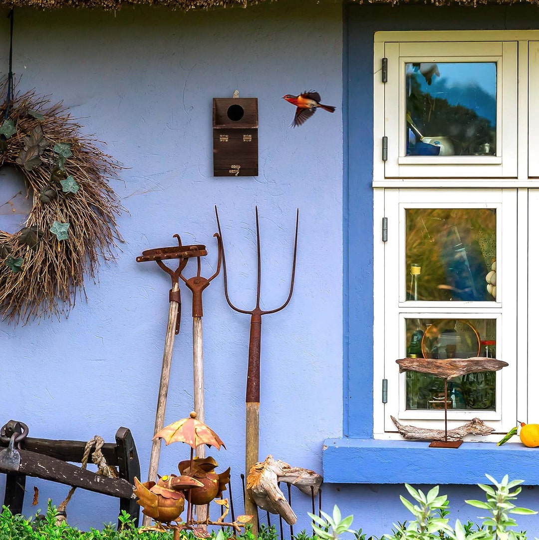 Relaxdays Nistkasten für Kohlmeise & Gartenrotschwanz, mit Reinigungsklappe, Holz, Vogelnistkasten z