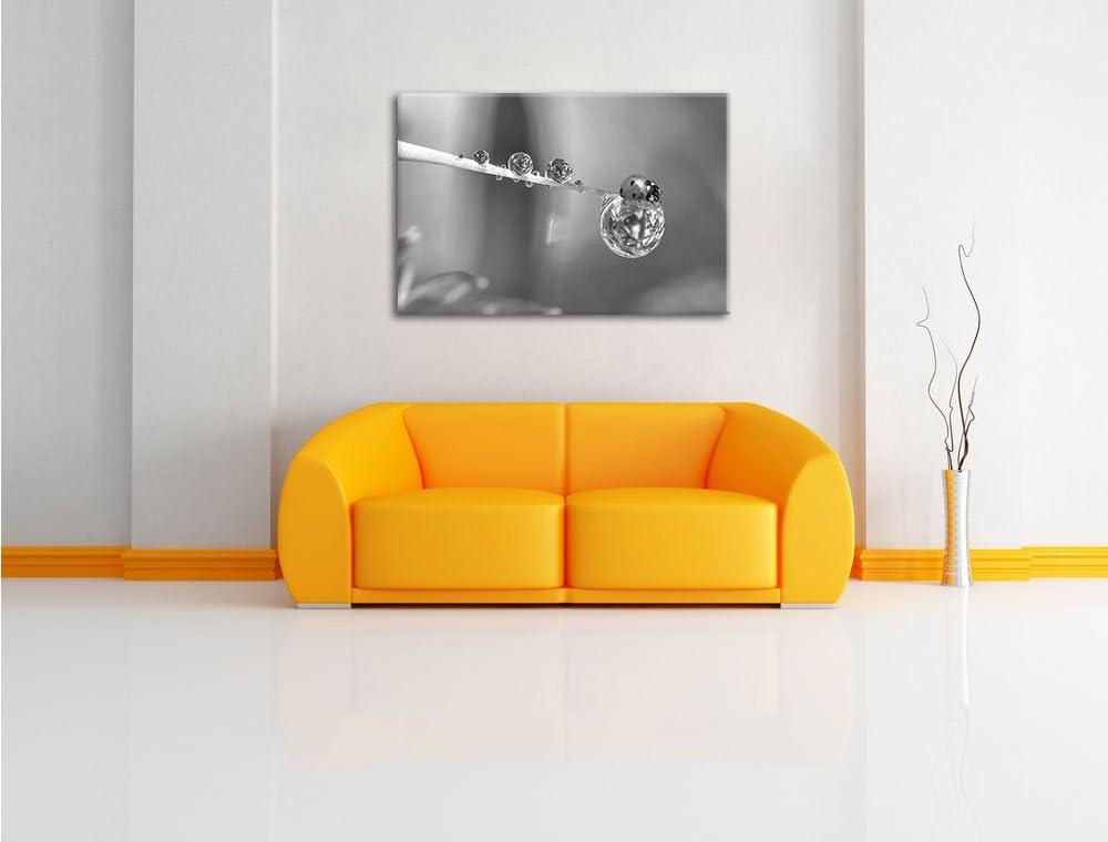 Pixxprint Marienkäfer als Leinwandbild/Grösse: 100x70 / Wandbild/Kunstdruck/fertig bespannt, 100x70
