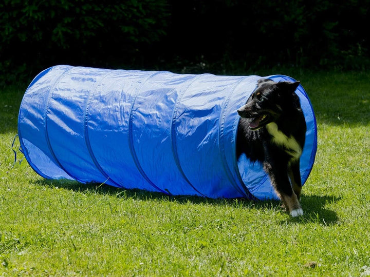 NATIV LEMODO Agility Set Hunde | Hundetraining mit Agility Hürde, Hundetunnel und Sprungring | Einfa