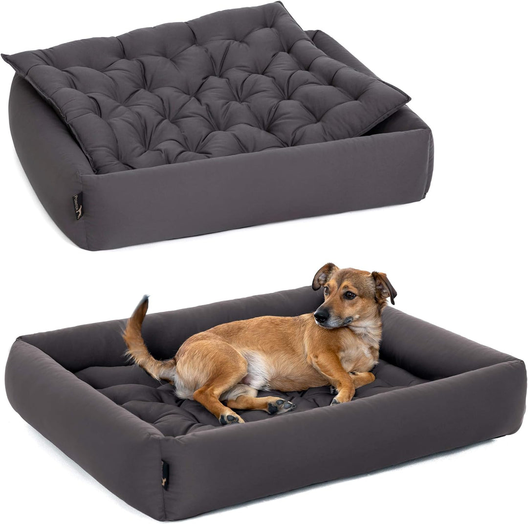 Pointer | Hundebett mit Hundekissen - orthopädisch, waschbar, bequem (L - 80x70 cm, Anthrazit) L - 8