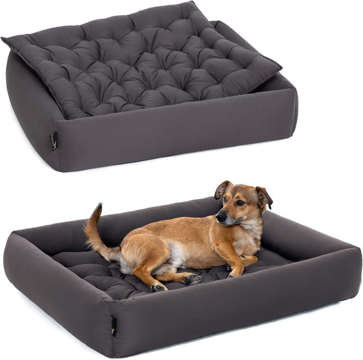Pointer | Hundebett mit Hundekissen - orthopädisch, waschbar, bequem (L - 80x70 cm, Anthrazit) L - 8
