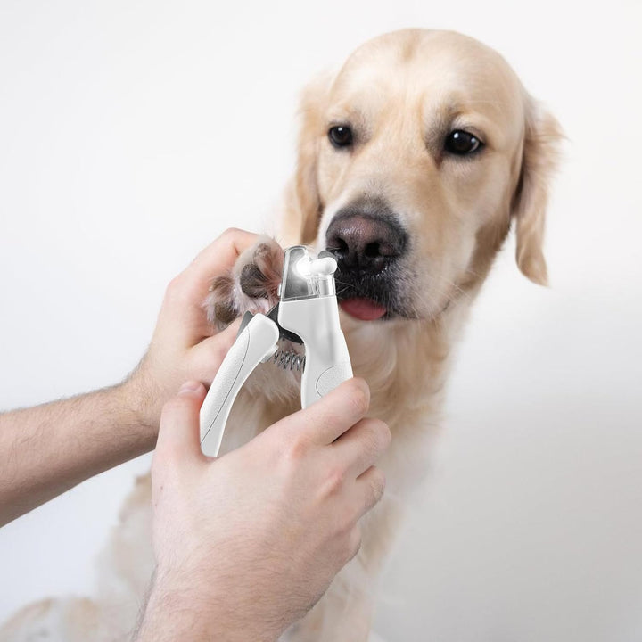 GOMETY Profi LED Hunde & Katzen Nagelknipser: Ergonomischer Griff, Sicherheitsverriegelung, für Mitt