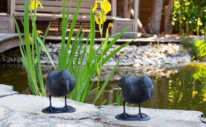 Brandsseller Schwarzer Rabe aus Kunststoff 36 x 20 cm Taubenabwehr Vogelschreck gegen kleine Vögel u