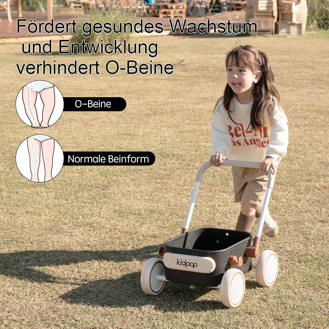 Kidpop PULA 2-in-1 Baby Lauflernwagen, Indoor und Outdoor Baby Spielzeug, Multifunktionale Lauflernh