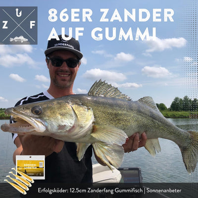 Zanderfang 40 Teile Box Gummifische mit Jigköpfen zum Zanderangeln mit Gummifisch - 24 Gummifische: