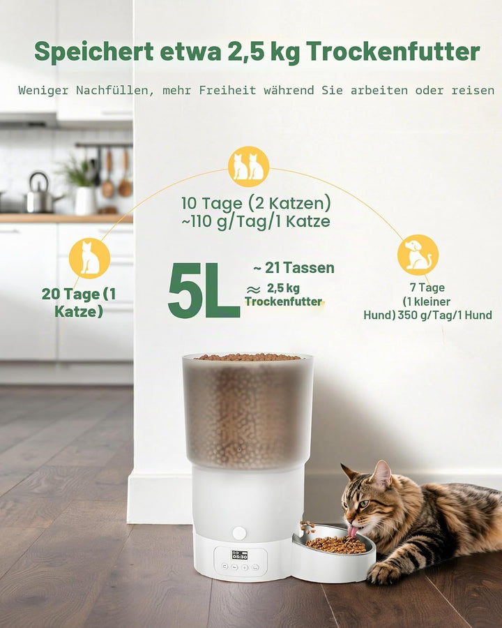 Gimars 5L Futterautomat Katze mit LCD-Anzeige Einfache Einrichtung, Programmierbar für 1–6 Mahlzeite