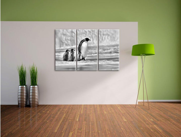 Pixxprint Kaiserpinguine im Schnee als Leinwandbild/Grösse: 3 Teilig (120x80) cm/Wandbild/Kunstdruck