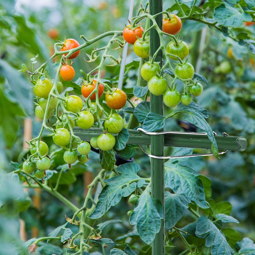50 Stück Tonkinklammern, Pflanzenspalier Verbindungsschnallen, Bambusklammern, Garten-Rankhilfen Pfl