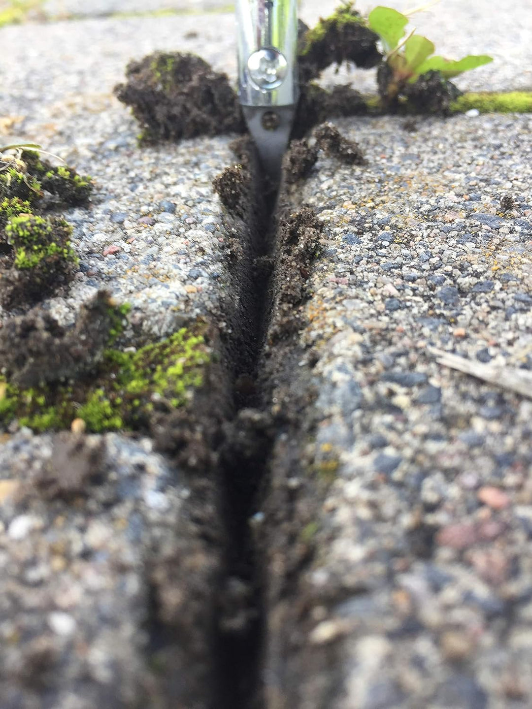 GIGANT Fugenkratzer Fugenreiniger Handgriff inkl. Teleskopstiel und Ersatzschneide