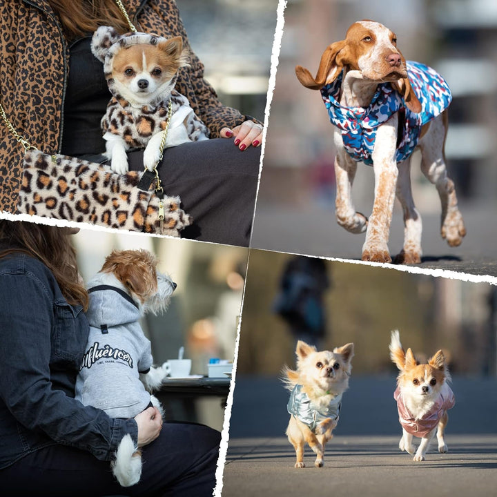 Croci-Pullover für Hunde Hutch, Rückengrösse 35 cm, Rautenverzierung, verstellbar, mit Loch für Lein