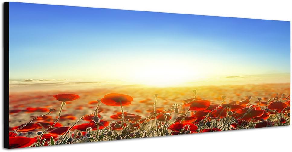Paul Sinus Art Panoramabild auf Leinwand und Keilrahmen 150x50cm Mohnblumen Wiese Sonnenaufgang