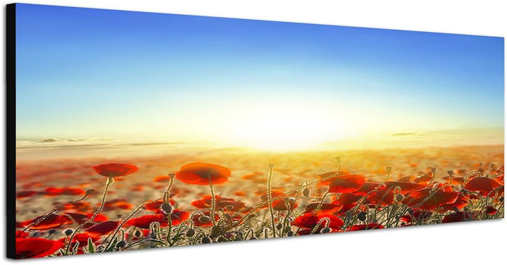 Paul Sinus Art Panoramabild auf Leinwand und Keilrahmen 150x50cm Mohnblumen Wiese Sonnenaufgang