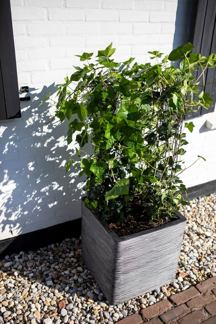 Capi Europe - Blumentopf quadratisch Rib NL - 40x40 - Elfenbein - Öffnung Ø32 - Blumentopf für den I