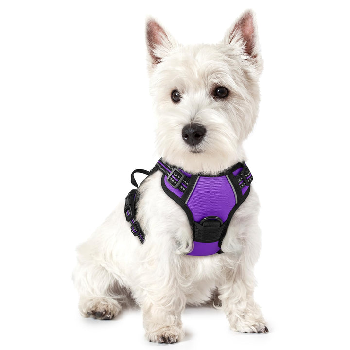 rabbitgoo Hundegeschirr Kleine Hunde, Anti Zug Geschirr mit Kontrolle, No Pull Verstellbar Hundegesc