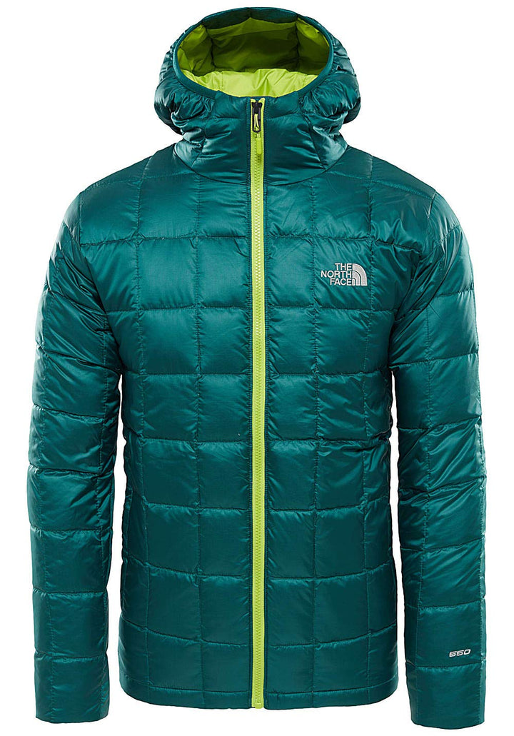 THE NORTH FACE M Kabru Hd Dwn JKT -Fall 2018- Botanical Garden Green L Grün, L Grün