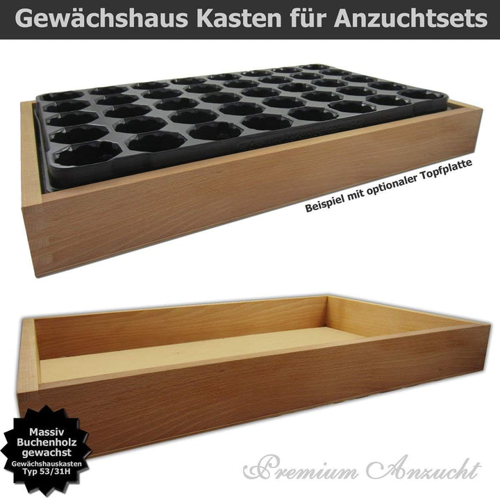 GREEN24 Gewächshaus Style-Box Beige GK5331H für Bewässerungswanne + Topfplatte - Birke Massivholz ge