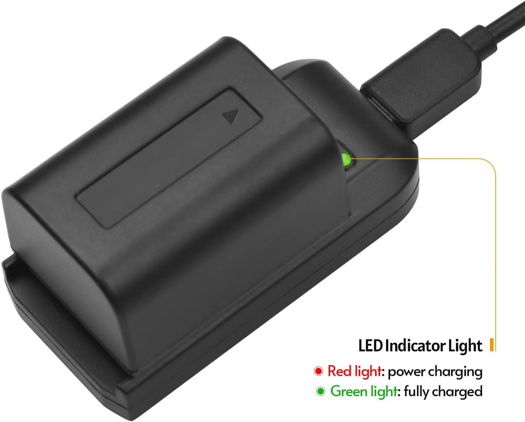 Andoer NP-FV5 Akku-Ladegerät mit LED-Anzeigeleuchte + 2 x NP-FV5 Plus 3,7 V 1000 mAh mit USB-Ladekab