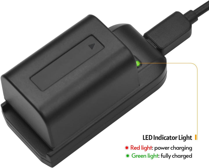Andoer NP-FV5 Akku-Ladegerät mit LED-Anzeigeleuchte + 2 x NP-FV5 Plus 3,7 V 1000 mAh mit USB-Ladekab