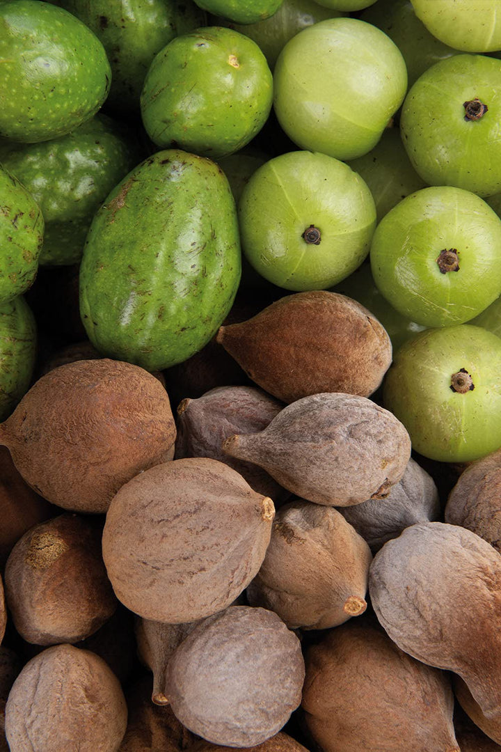 khadi TRIPHALA TRI-TOX Ayurvedisches Activating Body Oil - Haut- & Körper-Öl - Spüre Deine Leichtigk