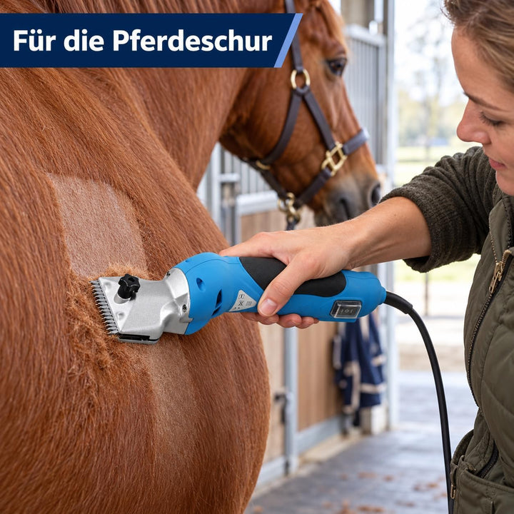 Eider EG 7720-000"Small Blue Horse