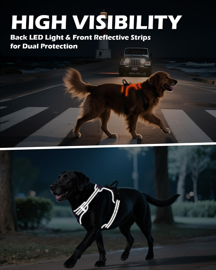 Joytale Hundegeschirr Leuchtend Aufladbar für Mittelgrosse Hunde, No Pull LED Hundegeschirr Reflekti