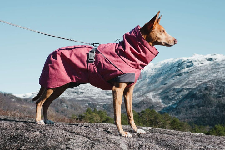 Hurtta Expedition Parka, Winter Dog Coat, Beetroot, 16 in Rote Beete 16 pulgadas, Rote Beete 16 pulg