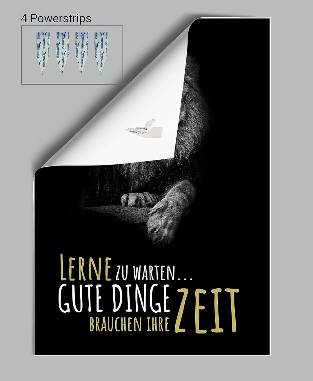 wandmotiv24 Poster als Wanddeko, Grösse 100x70cm, Gute Dinge brauchen Zeit, Löwe, Moderne Wanddeko,