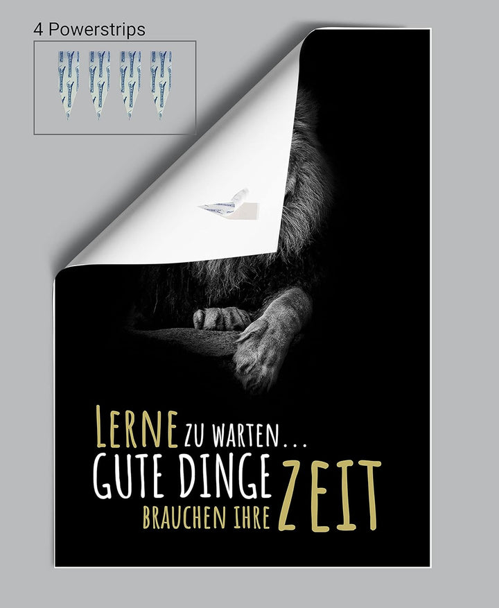 wandmotiv24 Poster als Wanddeko, Grösse 100x70cm, Gute Dinge brauchen Zeit, Löwe, Moderne Wanddeko,