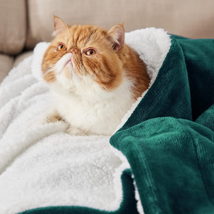 BEDSURE Kuscheldecke - Warm Sherpa Wolldecke & Sofadecke, Flauschig Sofaüberwurf Decke, Dicke Couchd