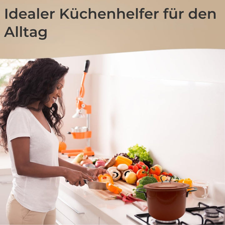 Riess, 2189-001, Fleischtopf mit Deckel 20cm, 4L, Emaille, CLASSIC Edition, Mango