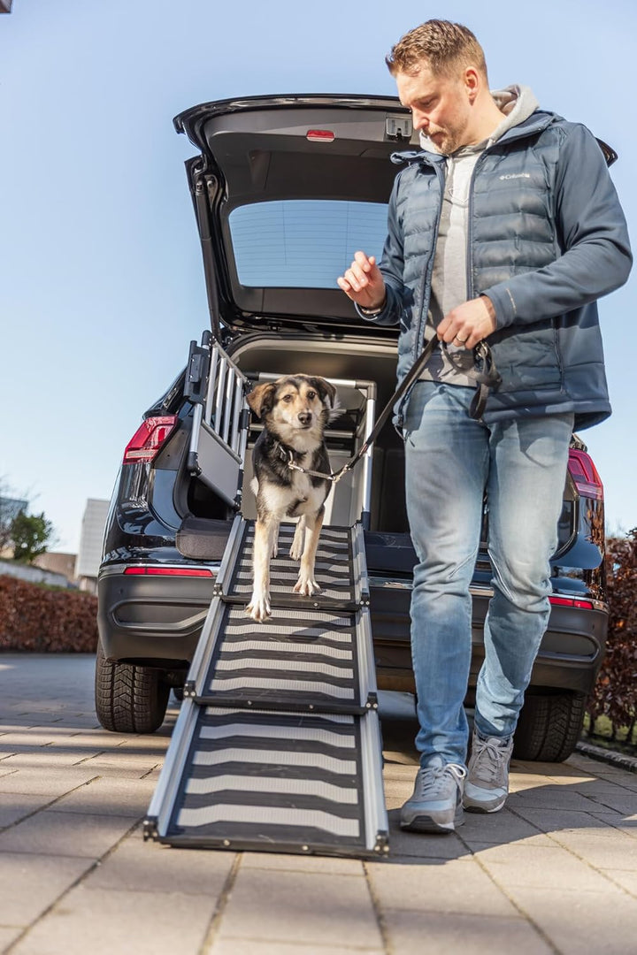 TRIXIE Hunde-Transportbox, Aluminium, M: 55 × 62 × 78 cm, hellgrau/silber, mit Klettleiste am Boden,