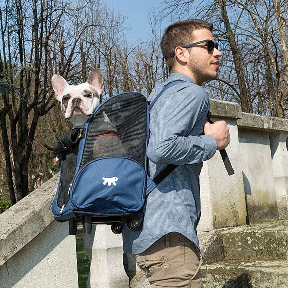 Transportbox für Kleine Hunde und Katzen Trolley mit Rollen, Rucksack für Kleine Hunde Katzen, Teles