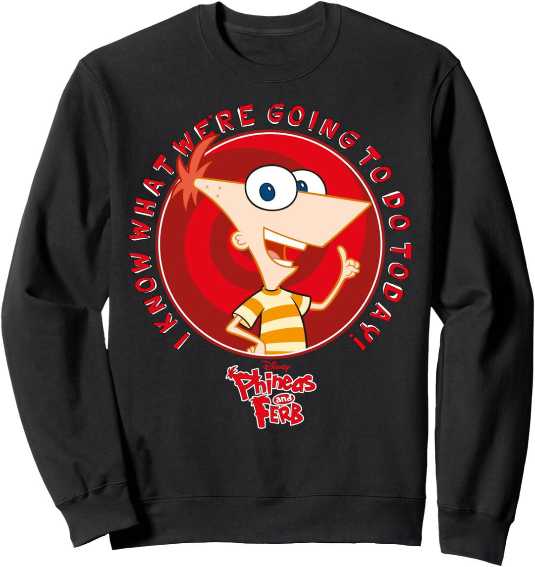 Disney Phineas And Ferb Phineas Do Today Sweatshirt