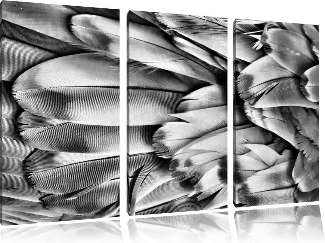 Pixxprint Bunte Papageienfedern als Leinwandbild/Grösse: 3 Teilig (120x80) cm/Wandbild/Kunstdruck/fe