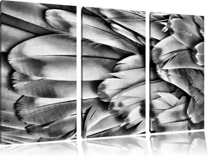 Pixxprint Bunte Papageienfedern als Leinwandbild/Grösse: 3 Teilig (120x80) cm/Wandbild/Kunstdruck/fe