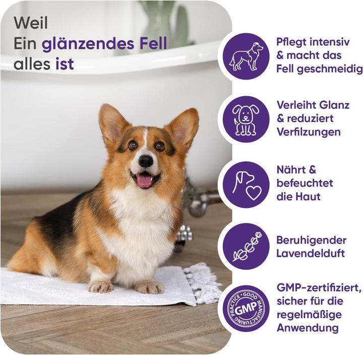 animigo Conditioner für Hunde &amp; Katzen - 500ml Spülung - Mit Kokosöl &amp; Avocadoöl - Für Langhaar &amp; Ku