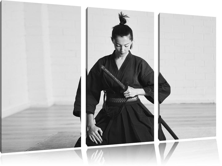 Pixxprint stolze Samurai-Kriegerin Kunst B&W als Leinwandbild/Grösse: 3 Teilig (120x80) cm/Wandbild/
