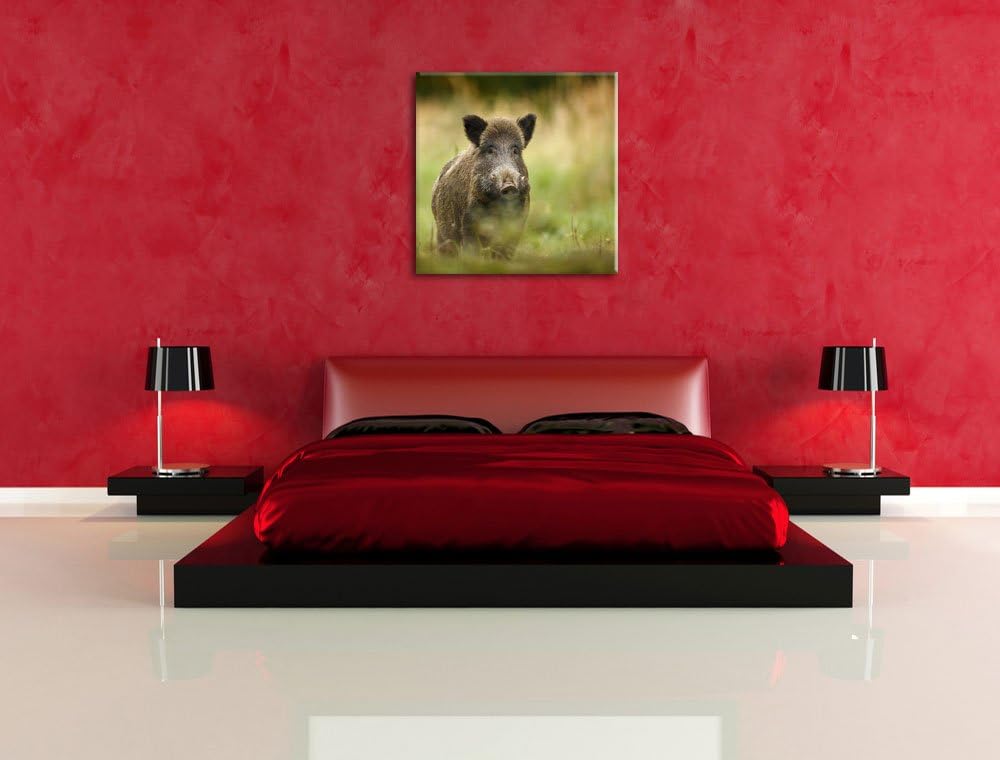Pixxprint Stolzes Wildschwein im Wald als Leinwandbild/Grösse: 70x70 cm/Wandbild/Kunstdruck/fertig b