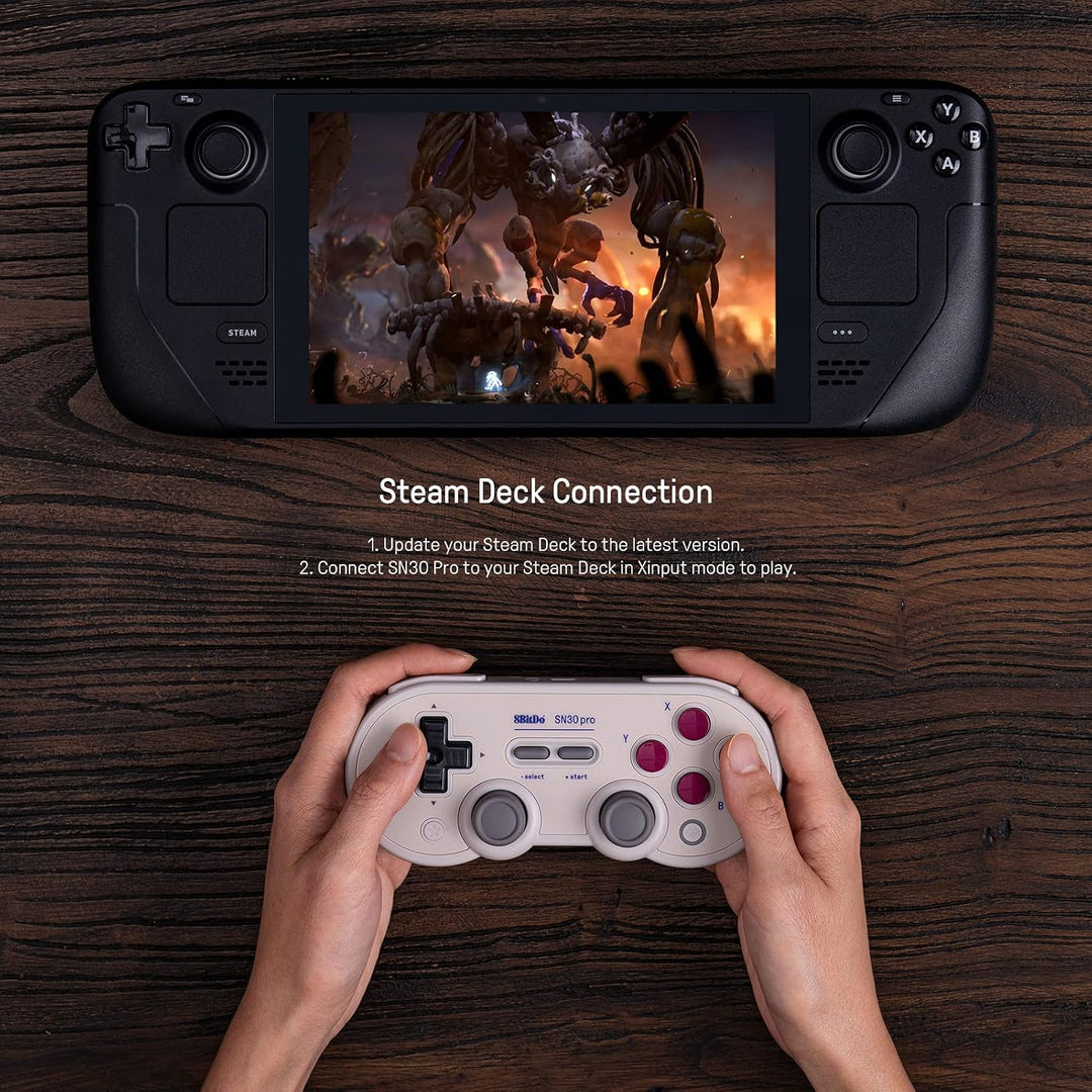8Bitdo Sn30 Pro USB-Gamepad Graue Ausgabe [[Deutscher Import] Single, Single