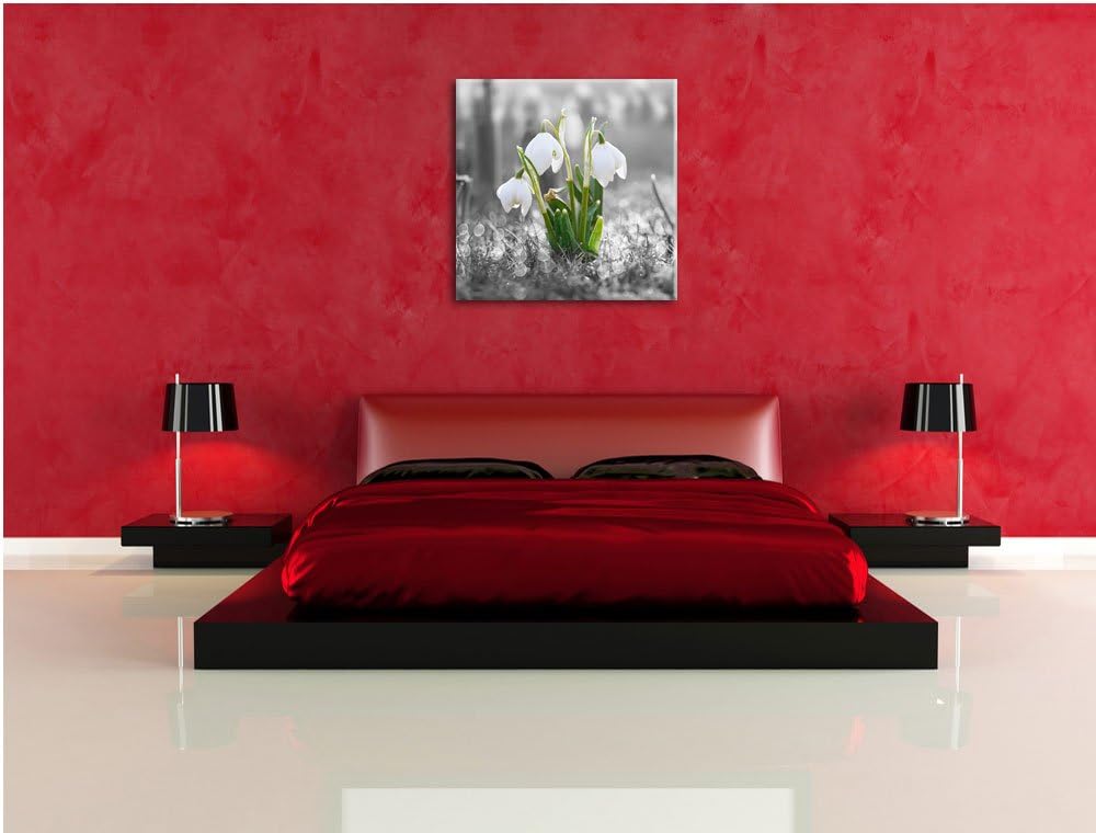 Pixxprint schöne Schneeglöckchen im Morgentau schwarz/weiss, Format: 70x70 auf Leinwand, 70x70