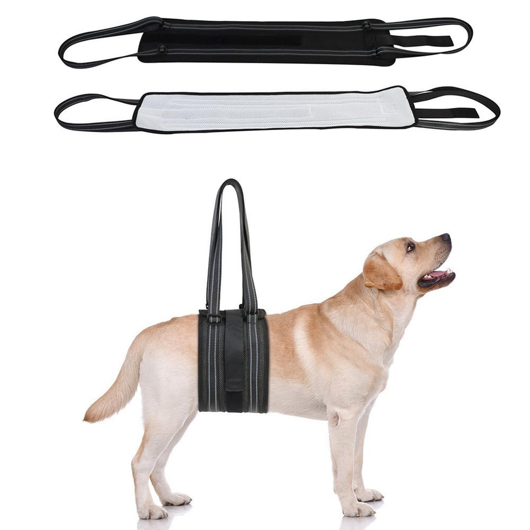 1 Stück Tragehilfe Hund Gross,Hilfsriemen,Hunde Tragehilfe,Für die Unterstützung Von Behinderte Hund