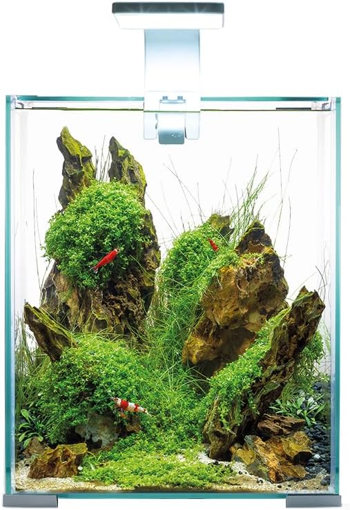 Aquael 122979 Shrimp Set Day&amp;Night 20, weiss, 4.63 kg, 19 Liter