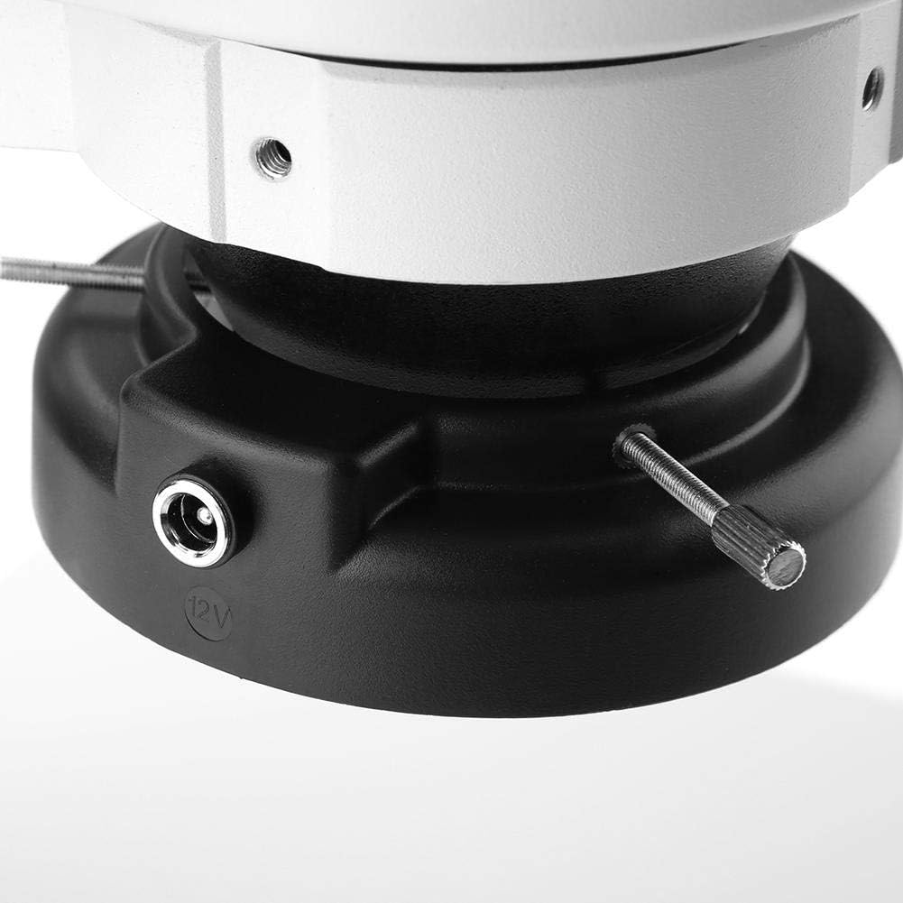 Bewinner 3,5X-90X Vergrösserung kontinuierliche Zoom Stereo Mikroskop, 0,7X-4,5X Zoom Objektiv,Trino