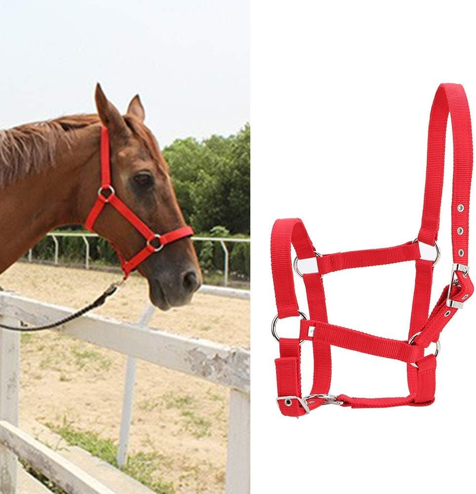 YOUTHINK Horse Halter High Density 6Mm Verdicktes Gurtband Horse Bridle Control Halfter Reitzubehör