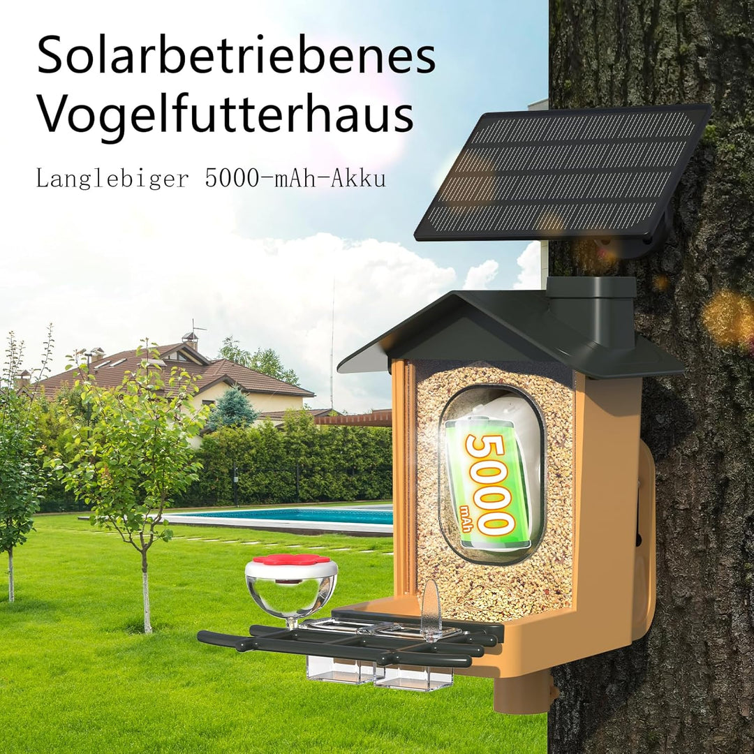 Vogelfutterhaus mit Kamera 2K HD Vollfarbe Nachtsicht KI Vogelerkennung Sofortiger Benachrichtigung