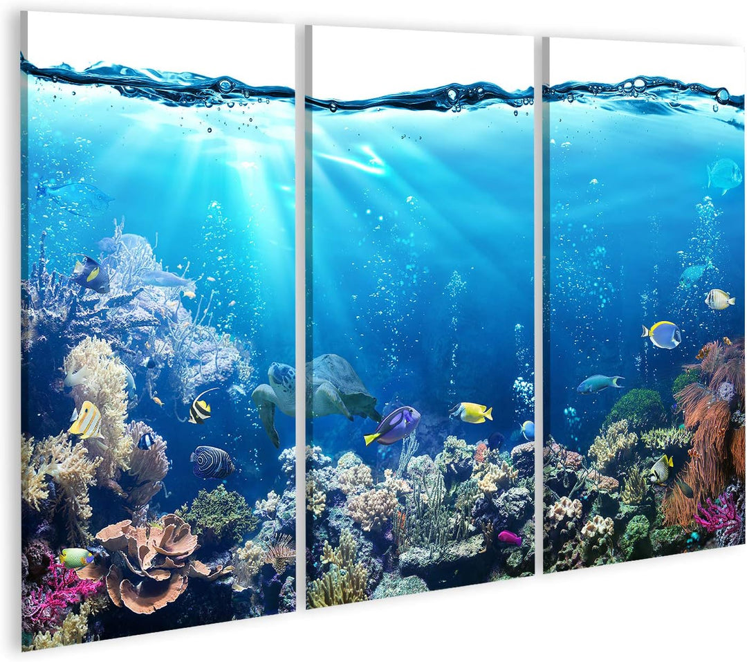 islandburner Bild auf Leinwand Unterwasser Szene Riff Und Tropischen Fischen Aquarium Bilder Wandbil
